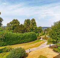 View of grounds, 9 Robinson Court, Audley St Elphin's Park Landscaped grounds with trees