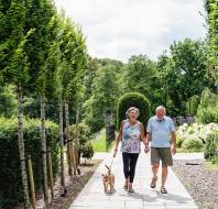 Beautiful Audley Villages gardens A senior couple with a dog on a leash walking in the gardens on a summer day
