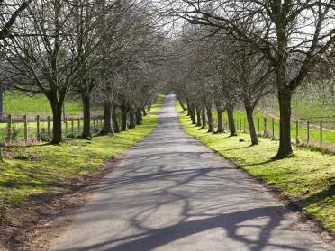The area of Lingfield, Surrey The area of Lingfield, Surrey