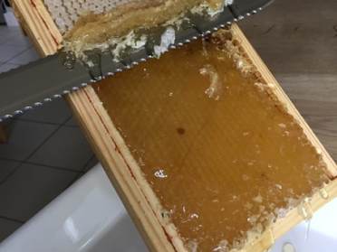 Audley Chalfont Dene Buckinghamshire honey for sale