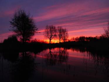 Golden hour at Audley Clevedon, as captured by homeowner Fiona Currie Golden hour at Audley Clevedon, as captured by owner Fiona Currie